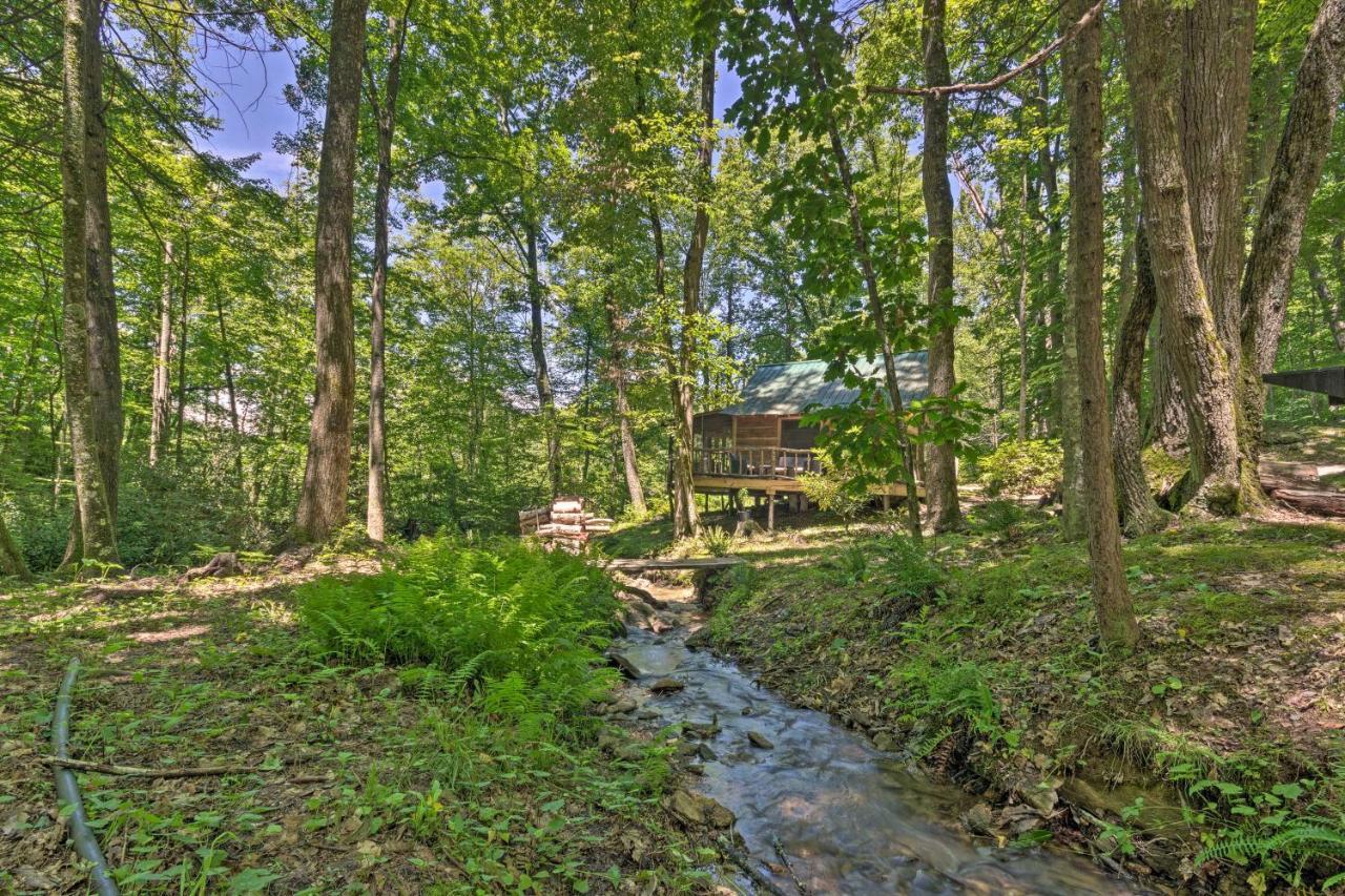 Creekside Cabin With Deck In Pisgah Forest! Barnardsville ภายนอก รูปภาพ