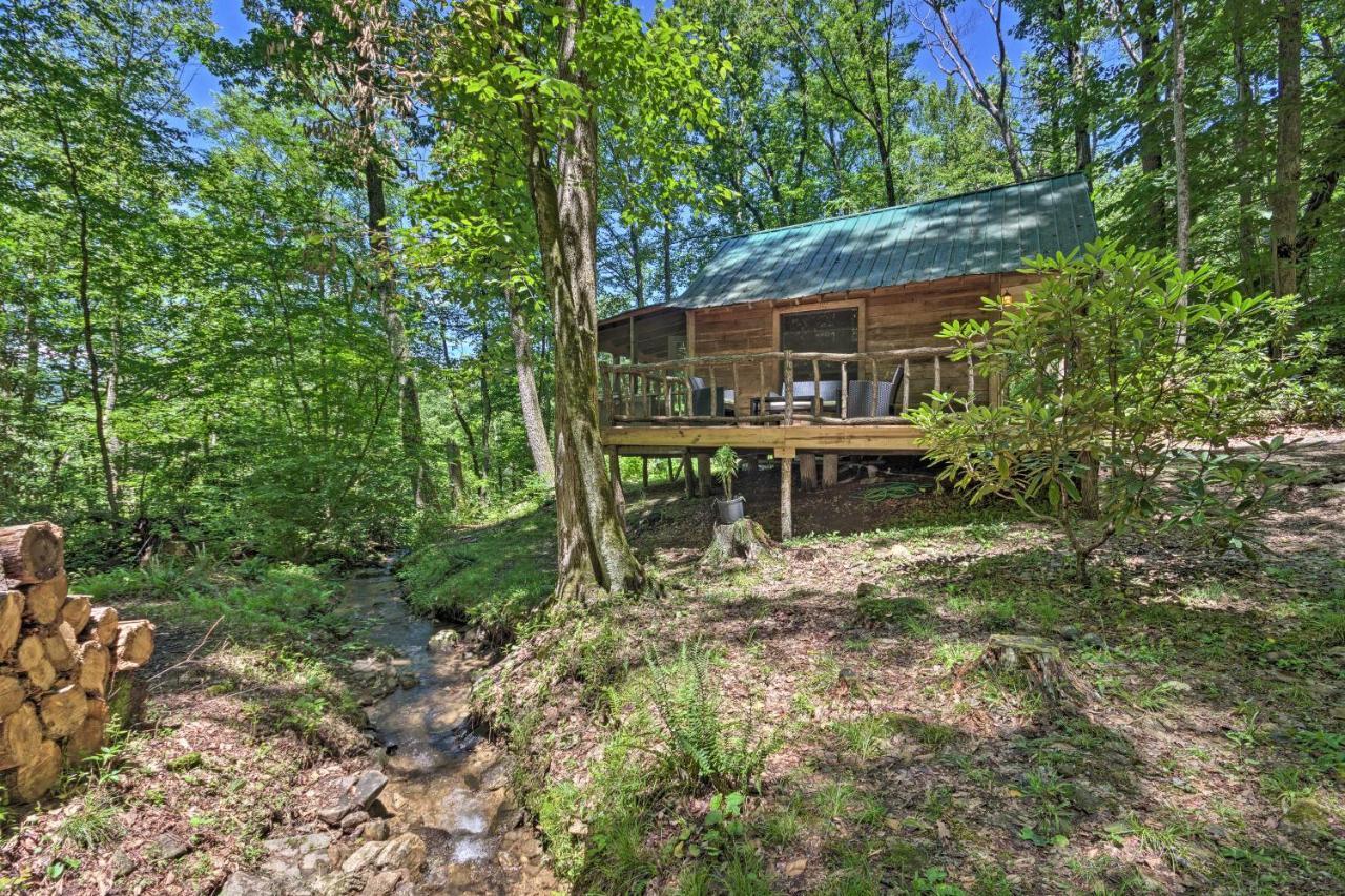 Creekside Cabin With Deck In Pisgah Forest! Barnardsville ภายนอก รูปภาพ
