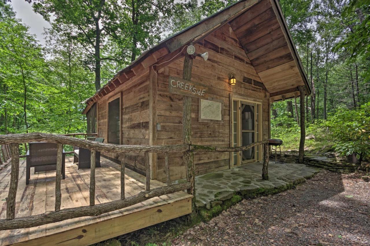 Creekside Cabin With Deck In Pisgah Forest! Barnardsville ภายนอก รูปภาพ