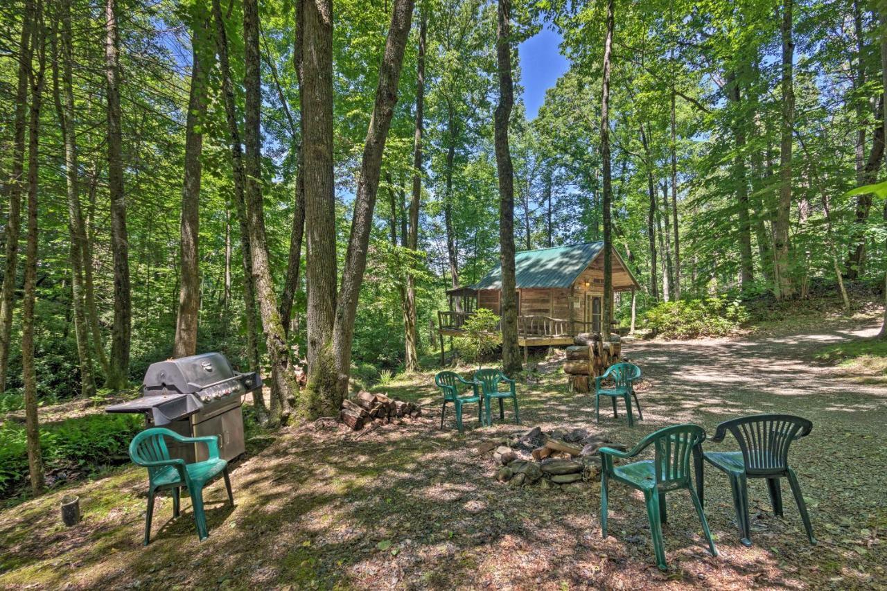 Creekside Cabin With Deck In Pisgah Forest! Barnardsville ภายนอก รูปภาพ