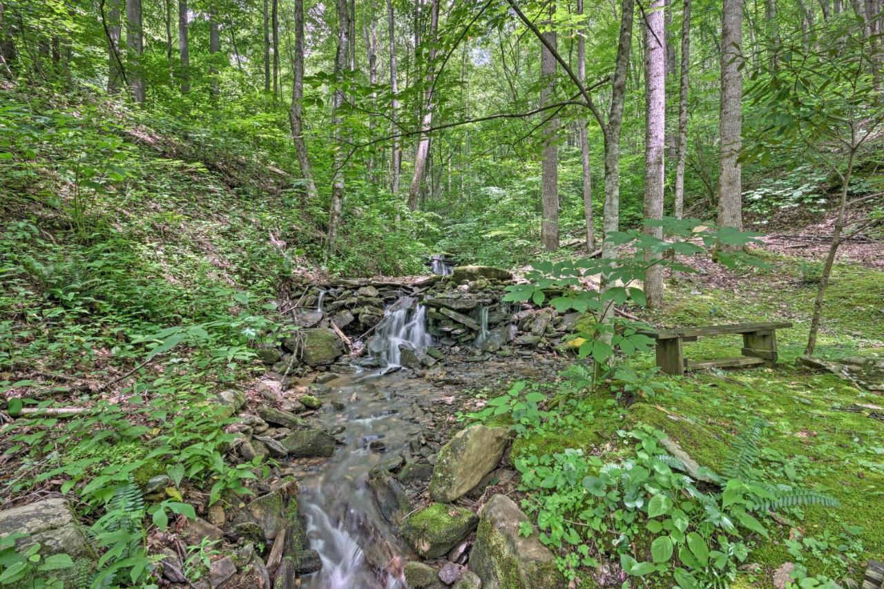 Creekside Cabin With Deck In Pisgah Forest! Barnardsville ภายนอก รูปภาพ